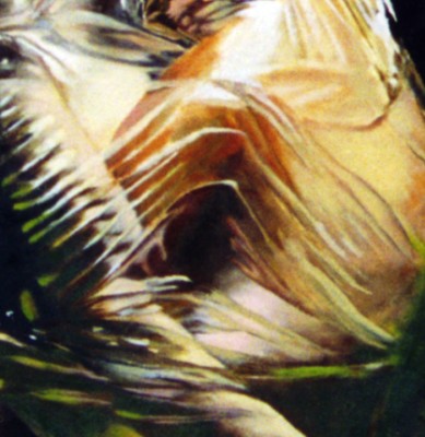 (Detalle 2) Crisálida, o el abrazo plastificado. Nozal, 1999.